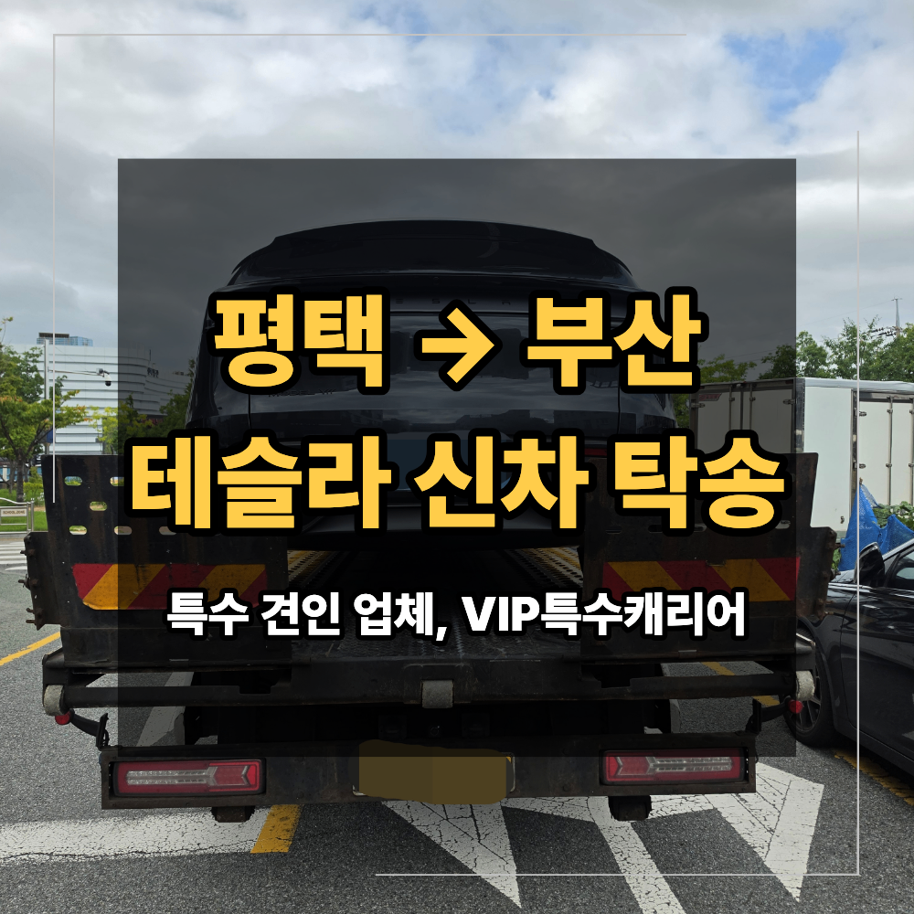평택 부산 테슬라 신차 탁송 출고 차량 카 캐리어 이용 시 확인 할 점